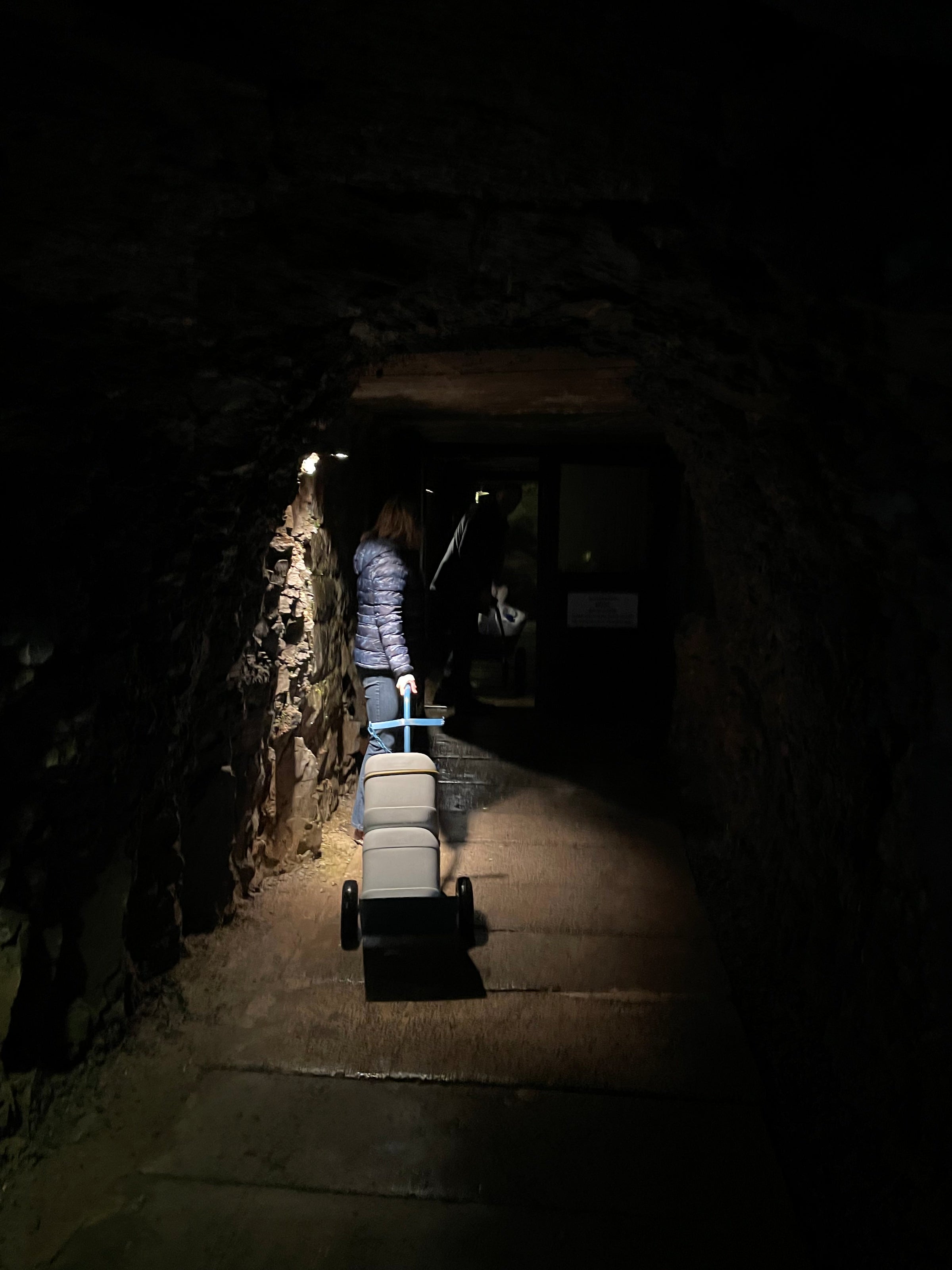 <p><em>INTO THE DARK</em><br/>The gin is carried by hand into the Angel Passageway deep within Dan yr Ogof. Port-seasoned oak barrels are filled and sealed. The cave takes over.<br/><br/></p>